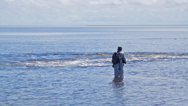 Seychelles wade fishing