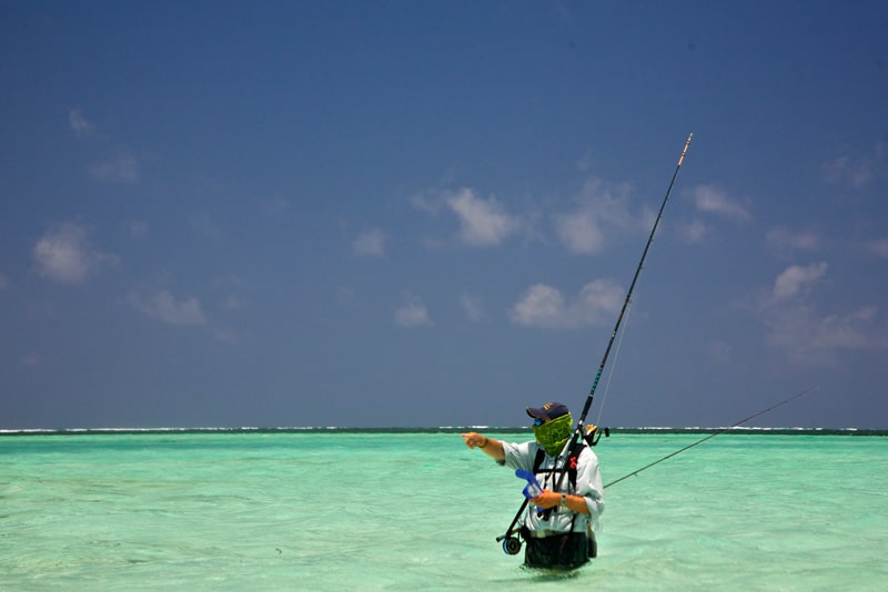 Seychelles flats fishing