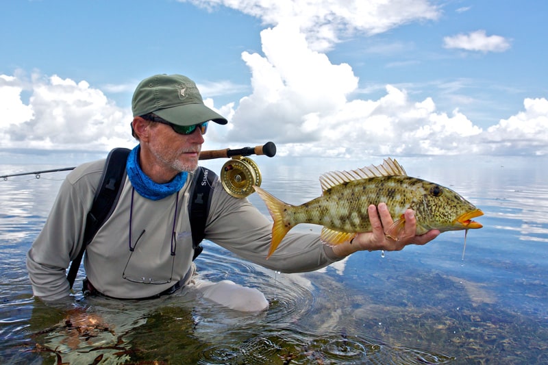 Seychelles yellow sweetlips