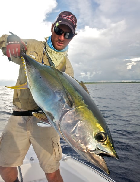 Seychelles yellowfin tuna