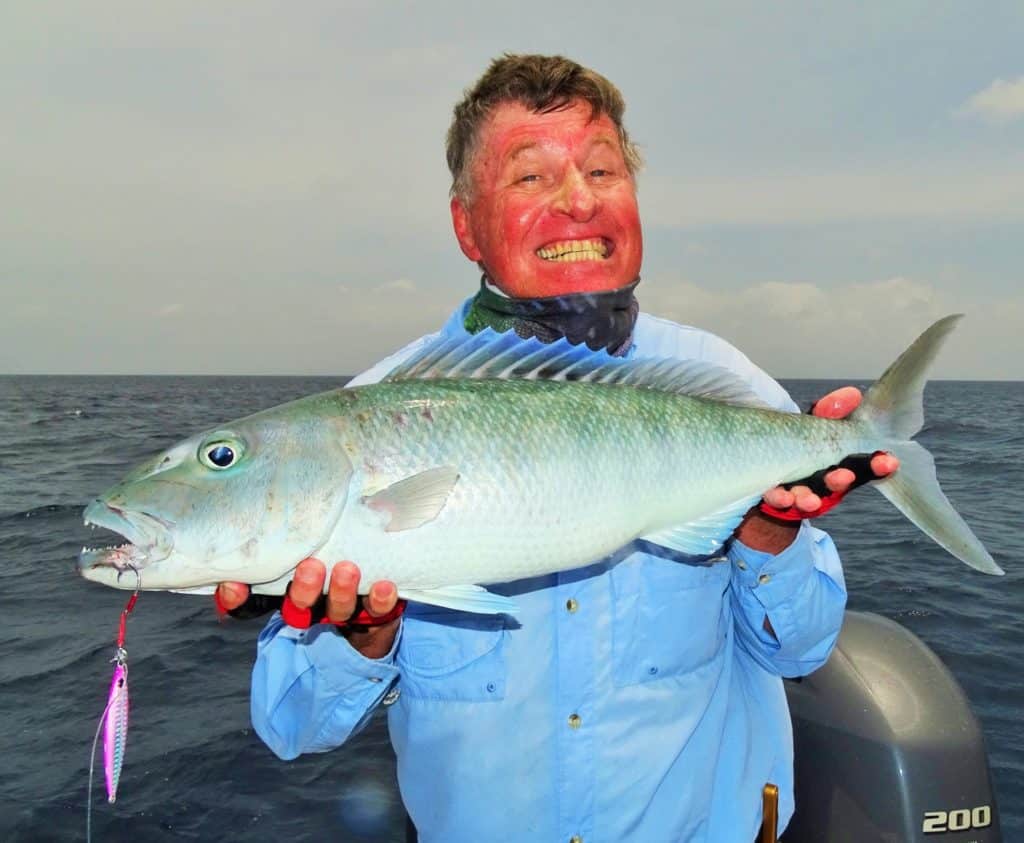 Australia's Great Barrier Reef — a green jobfish