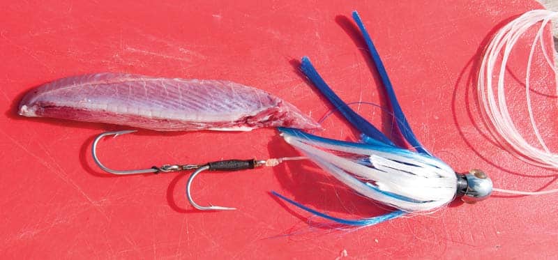 Strip bait fishing how-to