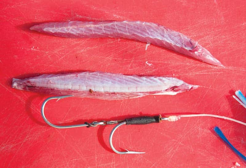 Strip bait fishing how-to