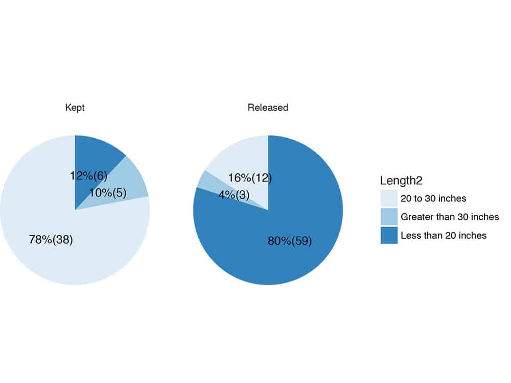 myfishcount pie chart length