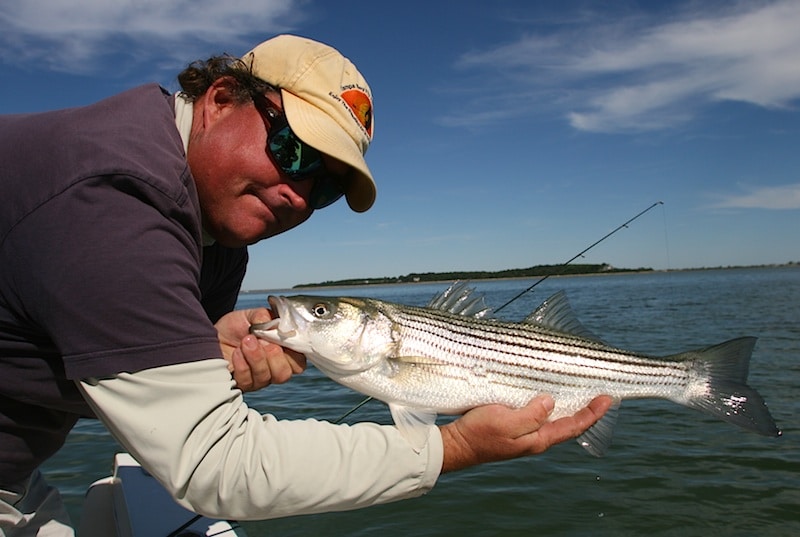 plymouth stripers_18.jpg