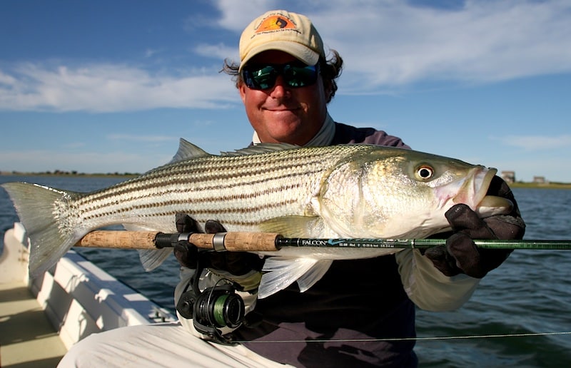 plymouth stripers_27.jpg