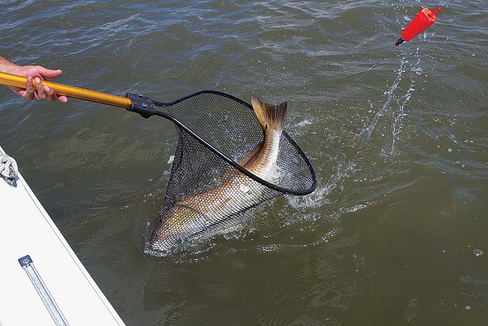 Popping Cork Setup, Best Rigs for Redfish