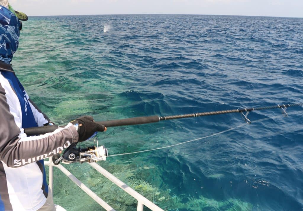 Australia's Great Barrier Reef — casting a channel edge