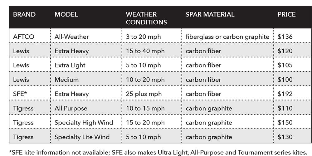 Best Kites for Each Type of Weather