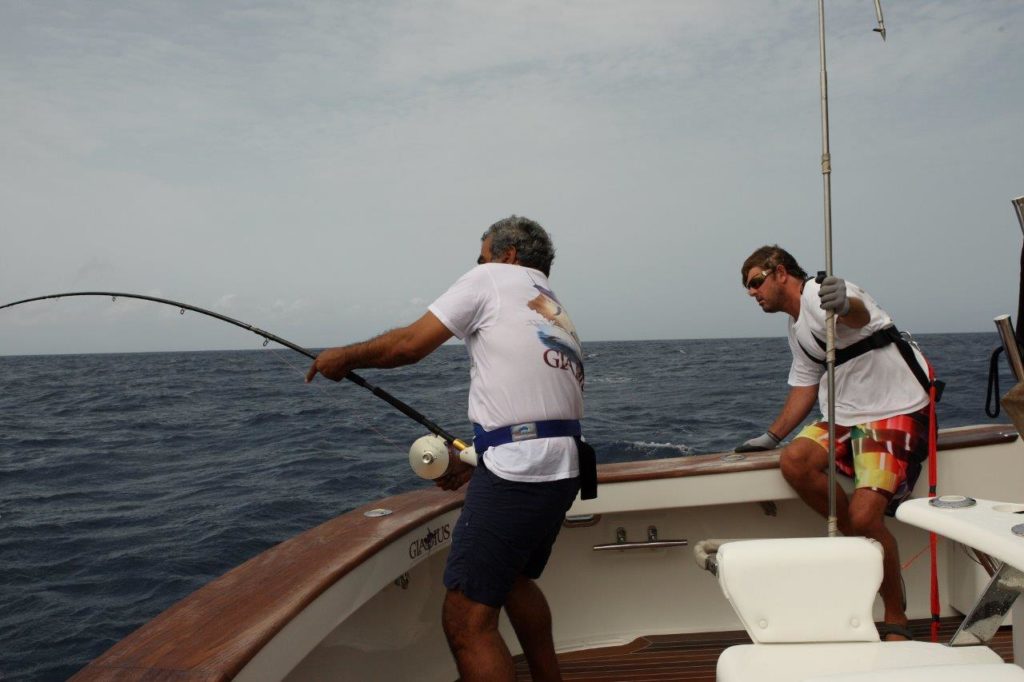 Australia marlin fishing at Port Stephens - fly fishing for blue marlin