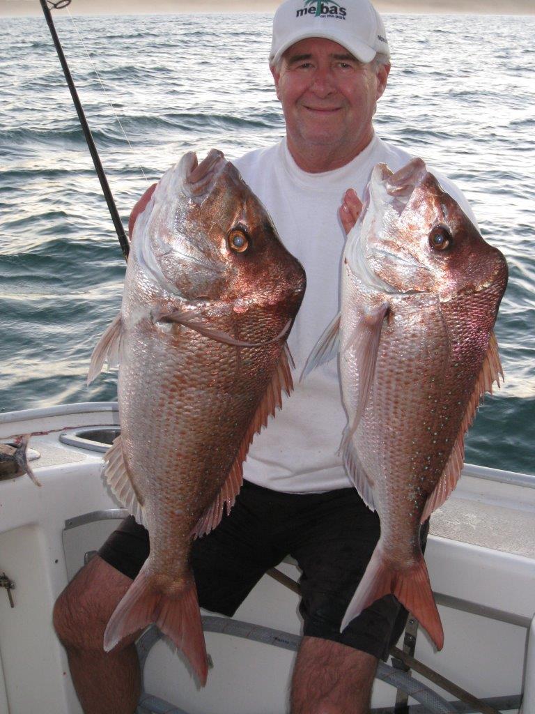 Australia marlin fishing at Port Stephens - a brace of red snapper