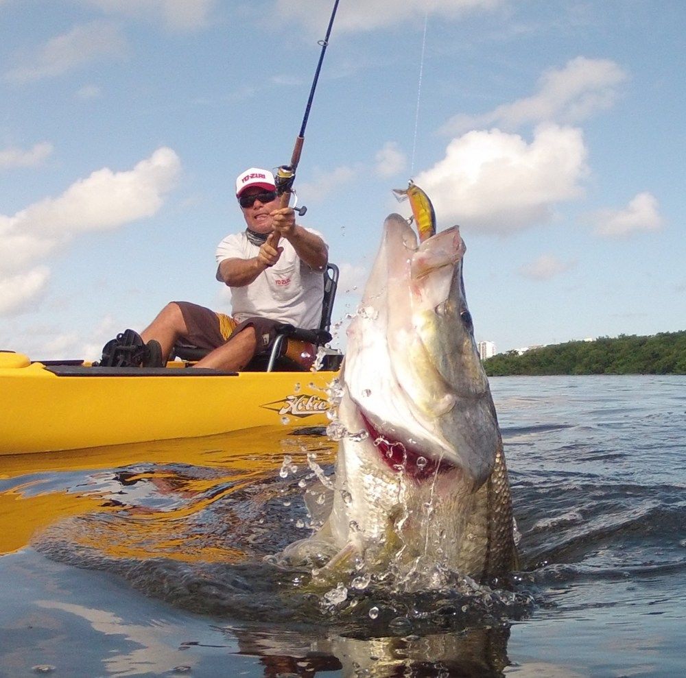 Snook fishing puerto rico