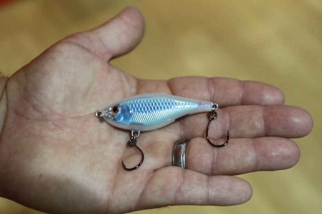 Rapala Saltwater X-Rap Twitchin’ Mullet 6