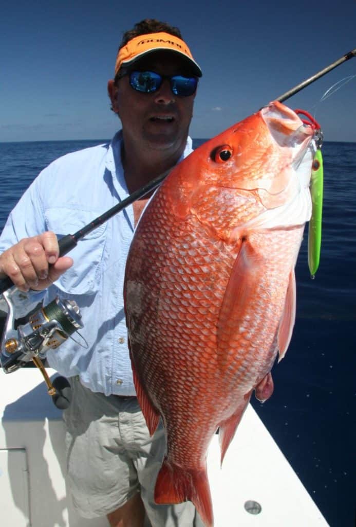 red snapper in Gulf of Mexico