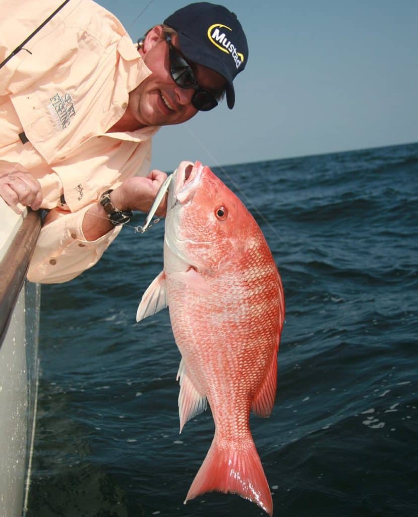 snapper