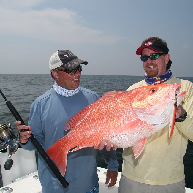 red-snapper