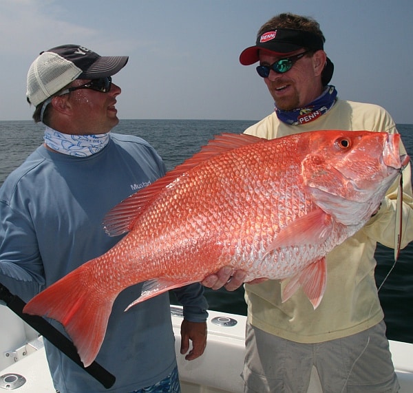 Gulf of Mexico red snapper