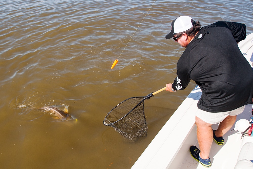 redfish-net.jpg