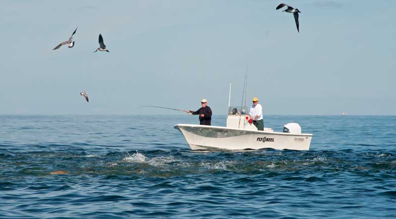 redfish-school-boat.jpg