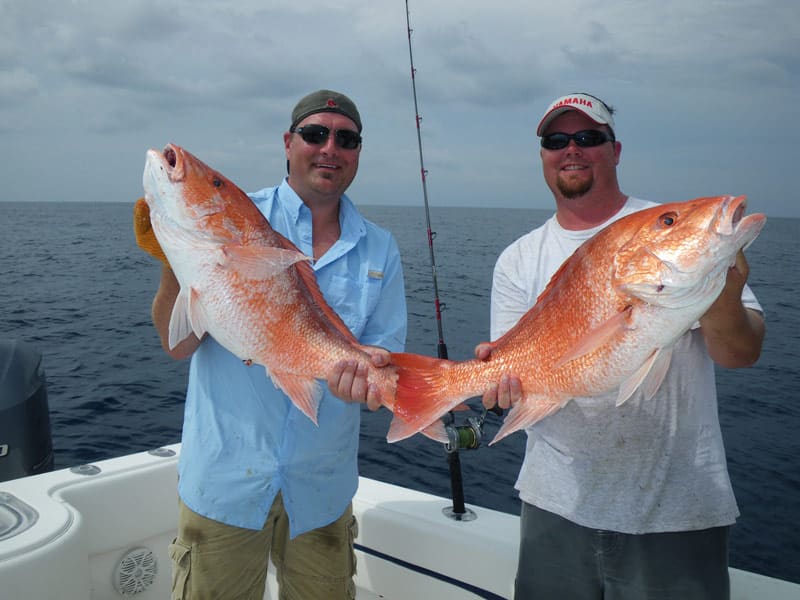 Red snapper mini-seasons