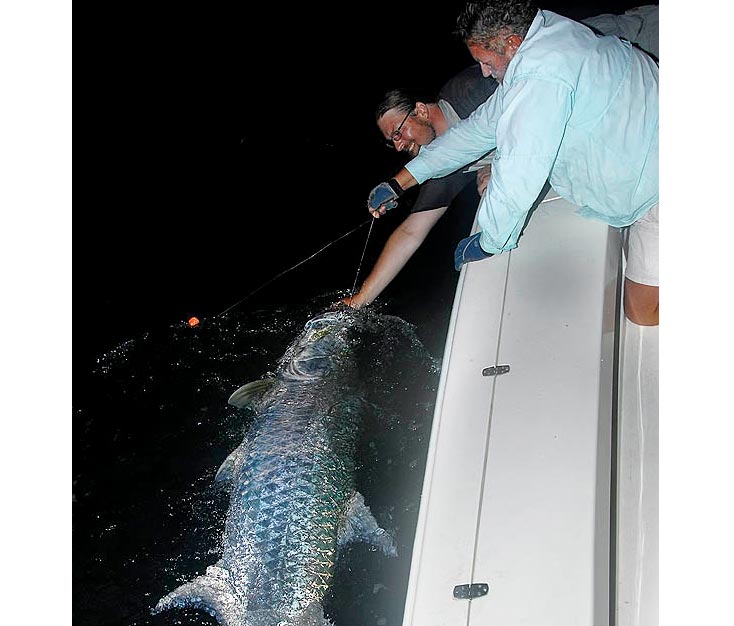 release-right-tarpon.jpg