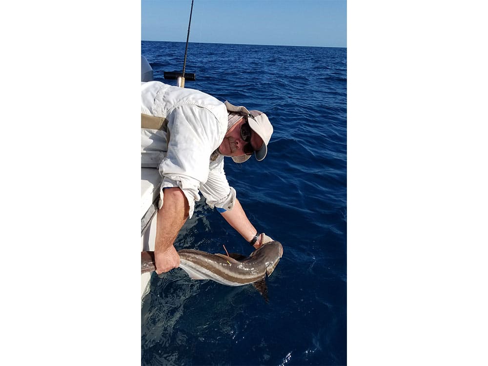 Releasing Acoustically Tagged Cobia