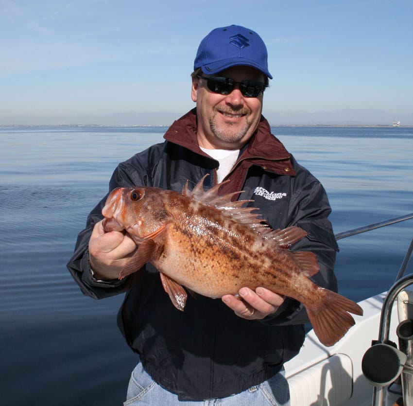 rockfish blog