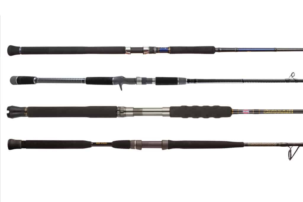 Long and Short Fishing Rods