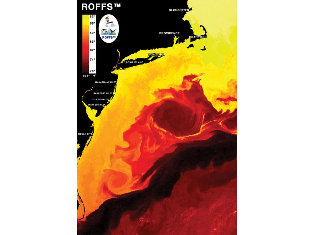 ROFFS Sea Surface Temperature and Chlorophyll