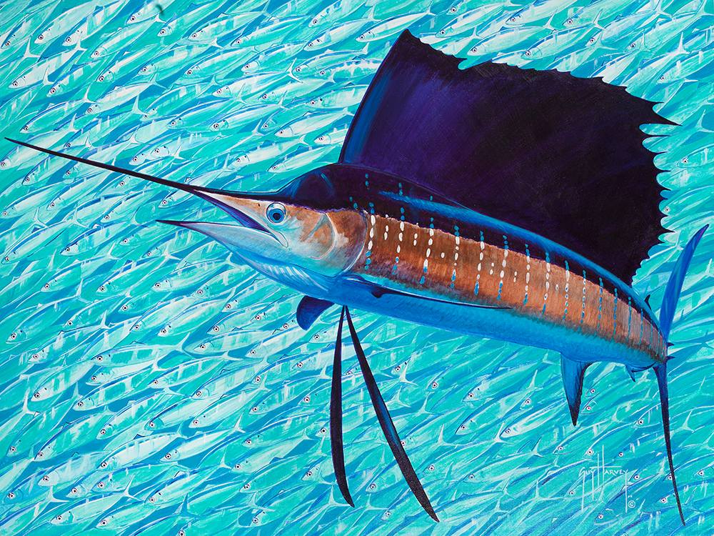 Guy Harvey painting sail and sardines