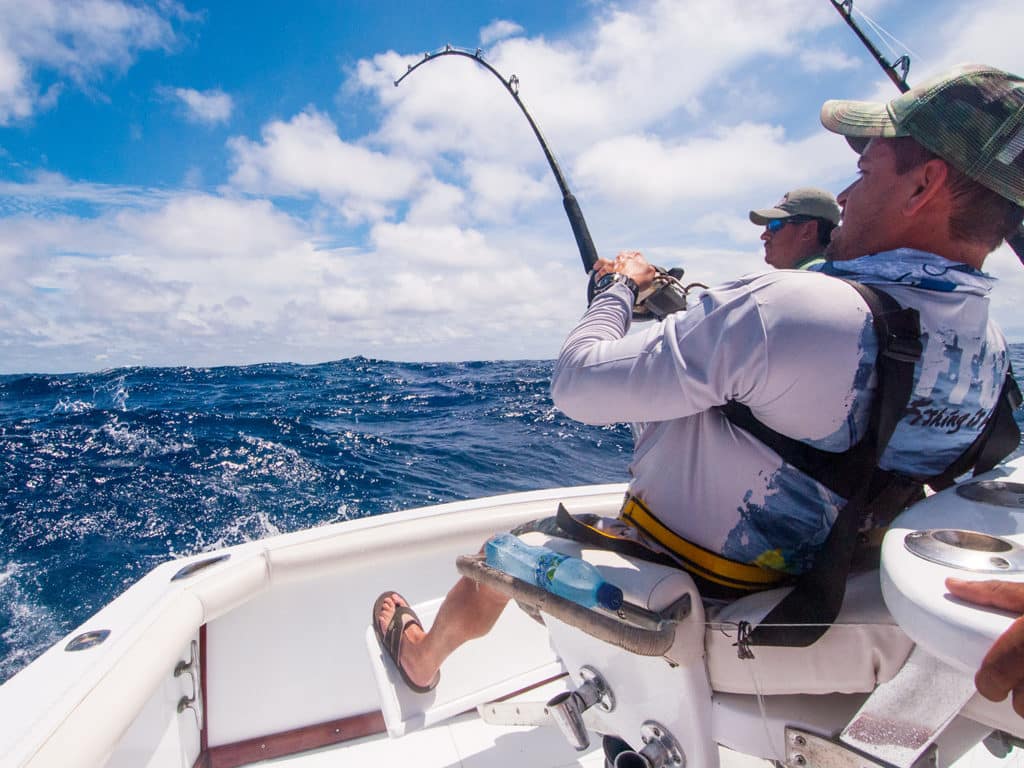 Best Reels for Catching Sailfish