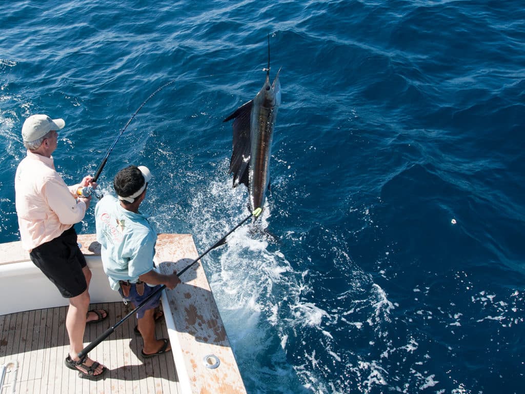 sailfish jumping boatside angler offshore saltwater fishing reel rod