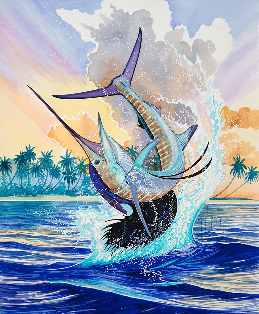 Guy Harvey painting sails up
