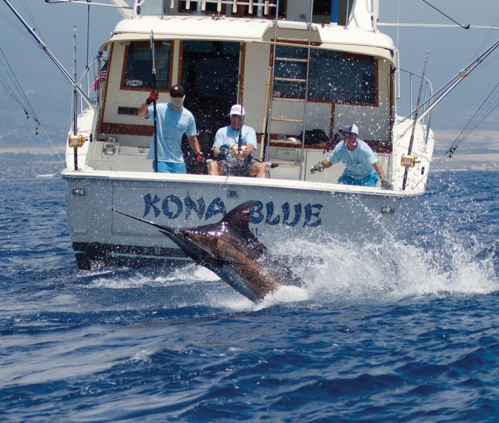 extraordinary fishing photos - marlin leap