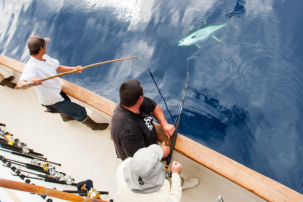 How To Cast Offshore Conventional Reels