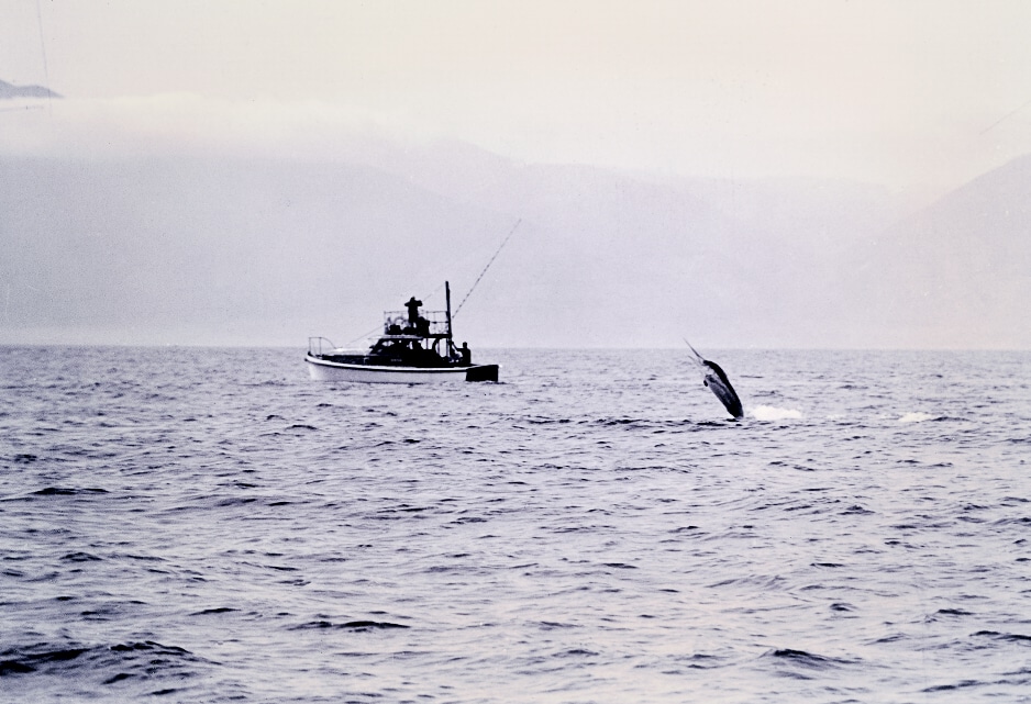 historic marlin battle