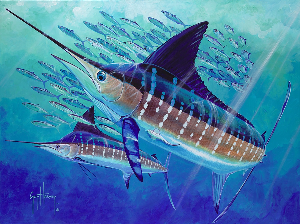 Guy Harvey painting schools out