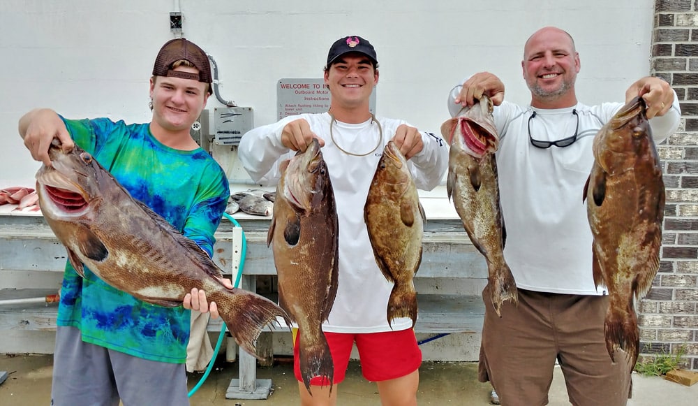 A nice catch of groupers for anglers with Capt. Jay Sconyers, named a Top Charter Captain of the Year 2017 by Sport Fishing magazine fans