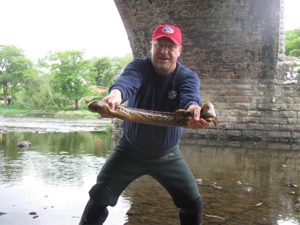 Sea lamprey