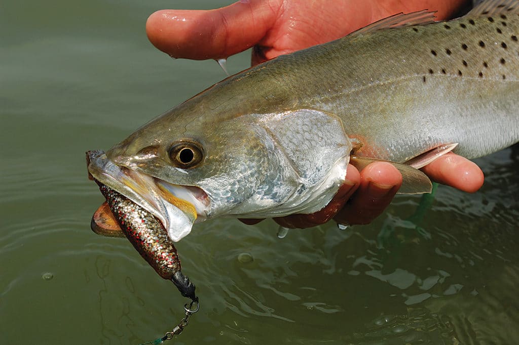 How to Fish Marshes and Creeks