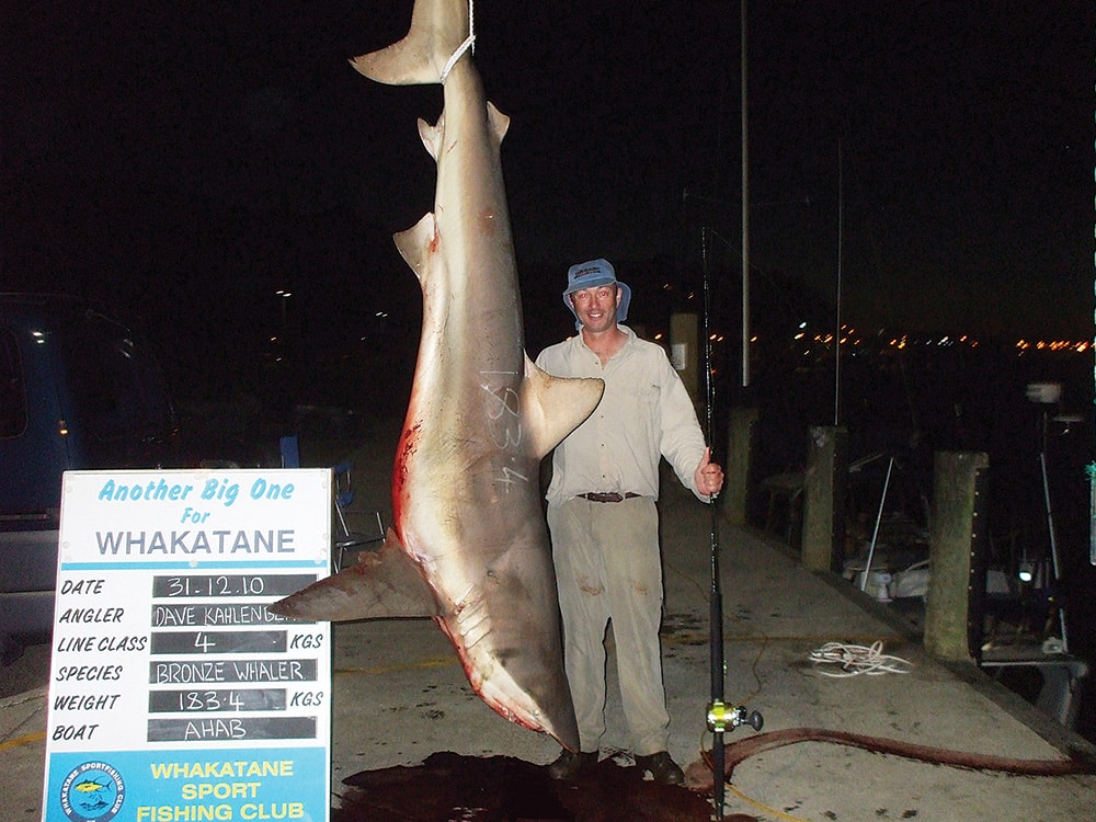 shark world record