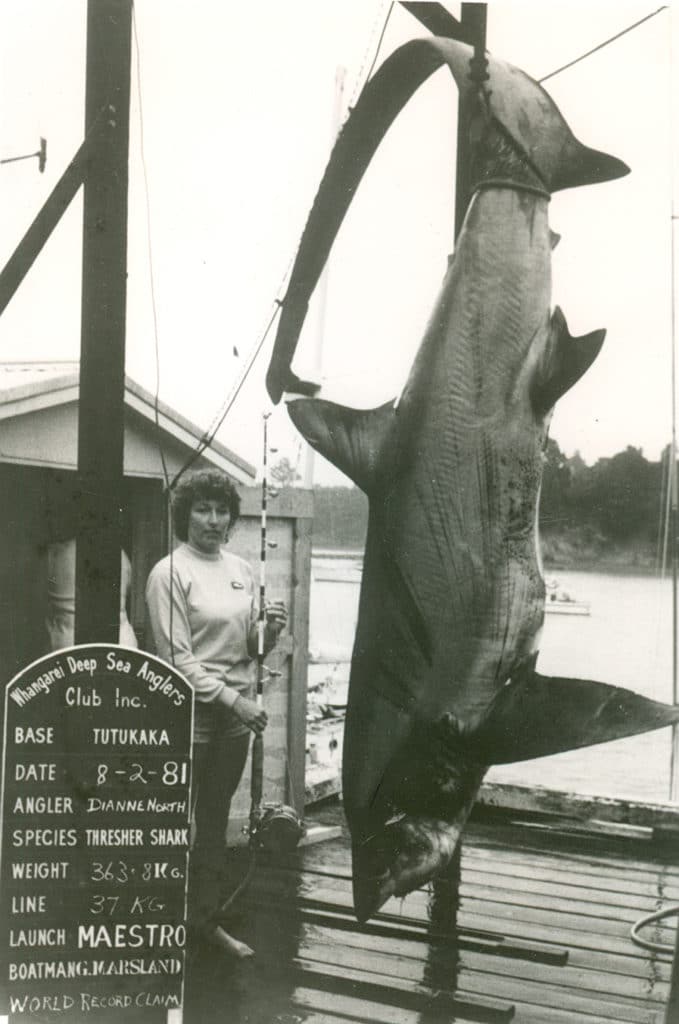 802-Pound Bigeye Thresher Shark