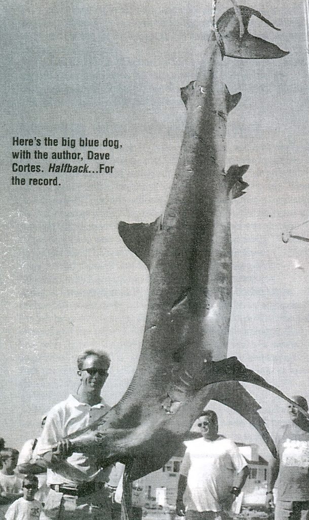 528-POUND BLUE SHARK