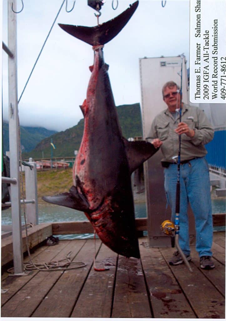 461-POUND SALMON SHARK