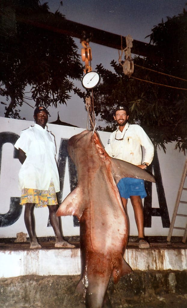 529-POUND SANDBAR SHARK