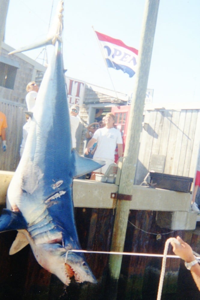 World-record mako shark