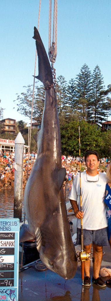 697-Pound Bull Shark