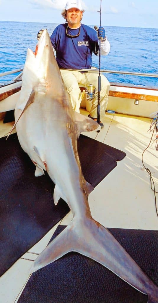 410-POUND SILVERTIP SHARK