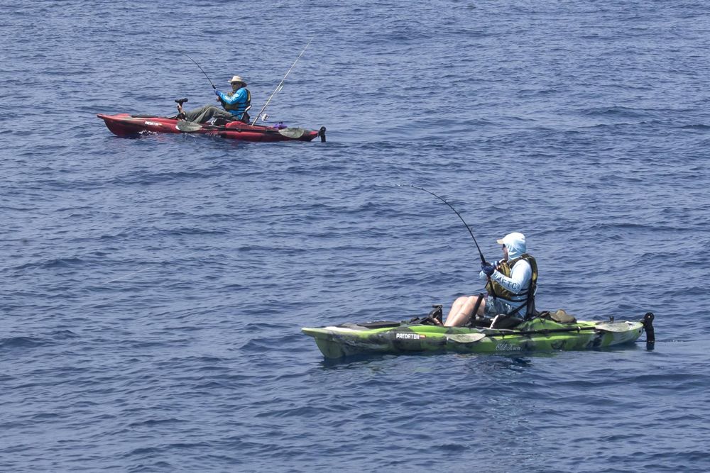 Kayak anglers hooked up with Pacific sailifsh