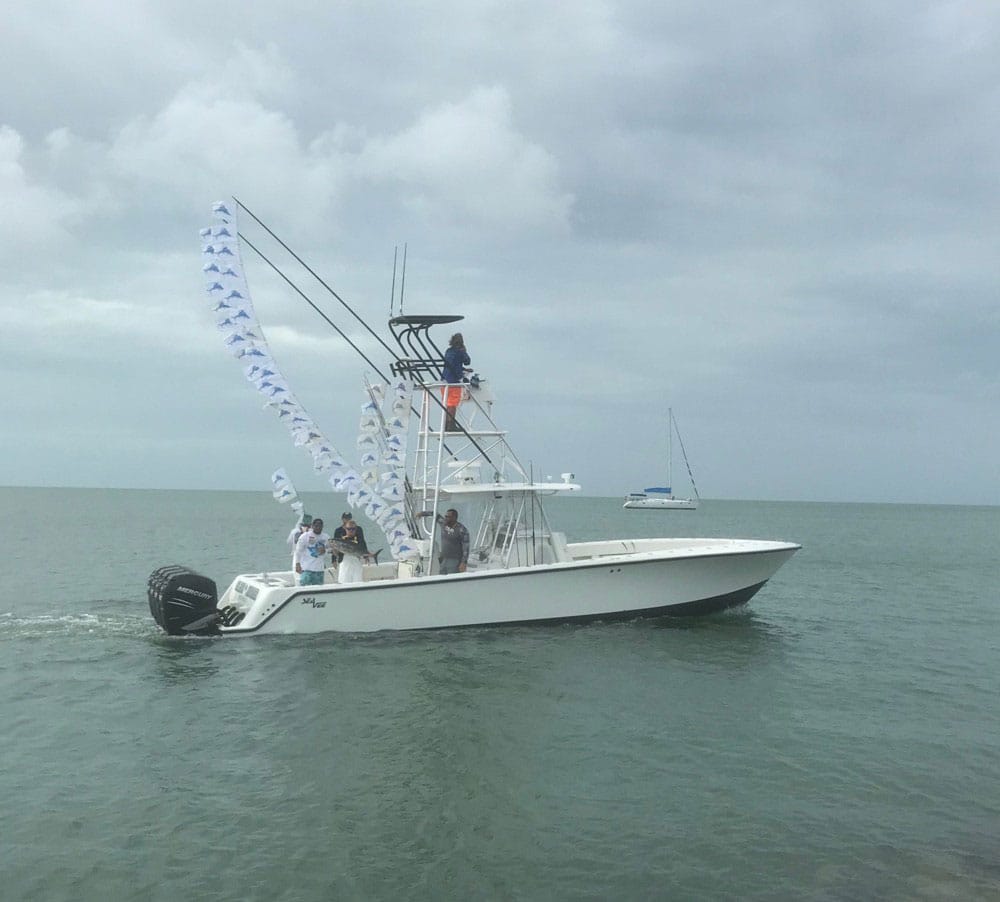 Record 61 Sailfish Releases in One Day